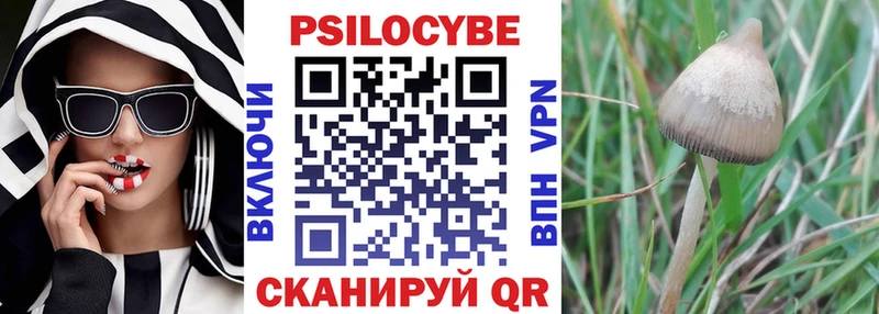 гидра как зайти  Псков  Галлюциногенные грибы GOLDEN TEACHER 